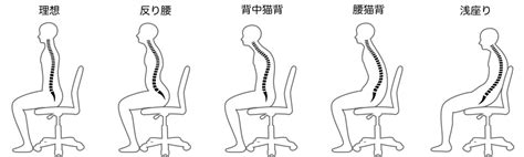 背座位|姿勢の定義と分類の再考